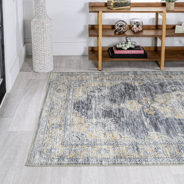 Bausch Bohemian Distressed Chenille Machine-washable Area Rug